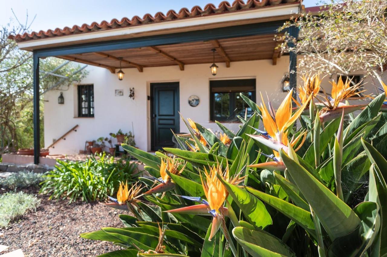 Live La Laguna Casita Vieja Buitenkant foto
